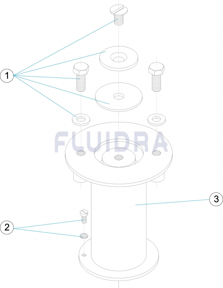 Деталировка закладной для установки со стопорными болтами, диаметр 45 мм, AISI -316 Арт. 00143